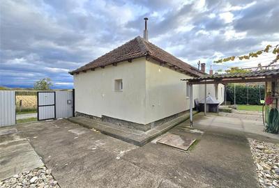 CASA 3 CAMERE + LIVING | 1790 MP TEREN | SAT RAPA | BIHOR - 22