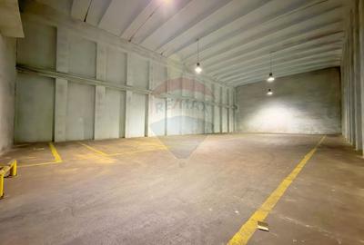 Spațiu industrial, de 6,132 mp, în Aradul Nou - 9