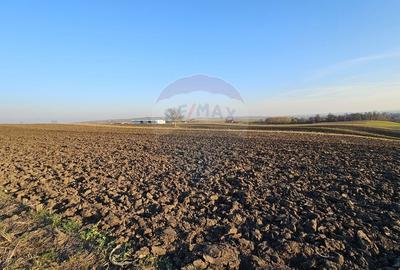 Teren agricol extravilan de 6100 mp, în Stroiești - 12