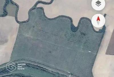 Teren de 500000 mp, în Bazoș