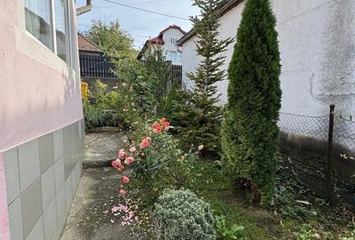 Casă cu 3 camere în Central - 1