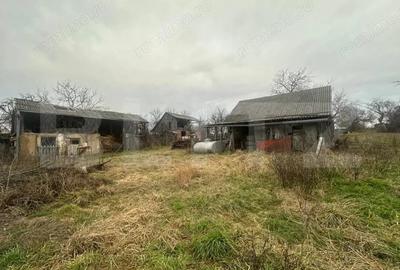 Casă cu 4 camere cu Teren 6197 Mp în Viile Satu Mare - 18