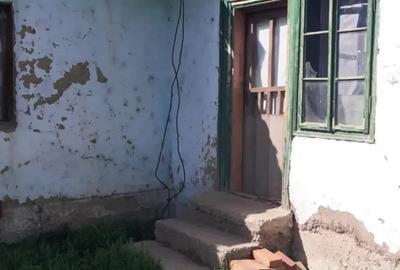 Vand Casa si Pamant in Cetate Dolj Strada tismana nr 40 - 5