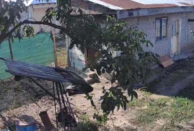 Casă cu 3 camere în Băneasa - 8