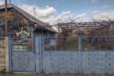 Casă cu 3 camere cu Teren 1000 Mp în Central - 4