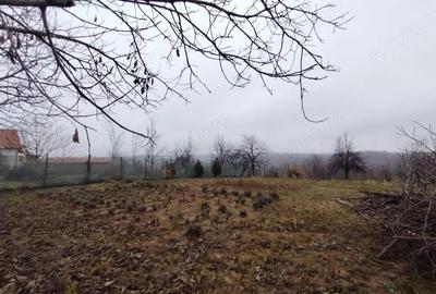 Teren intravilan in Saliste de Beius - 1