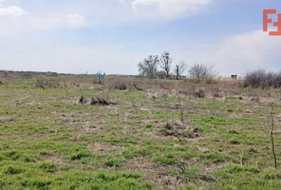 Teren Construcții intravilan de 798 mp, în Peciu Nou - 3