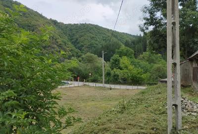 Casă cu Teren 3765 Mp în Mănăstire - 1
