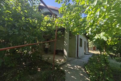 Casă cu 3 camere cu Teren 2645 Mp în Dragalina (Hlipiceni)