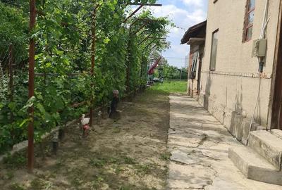 Casă cu Teren 505 Mp în Central