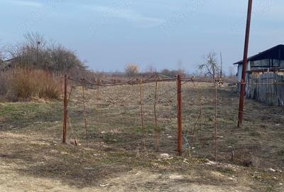 Teren de 2450 mp, în Tămășești - 2