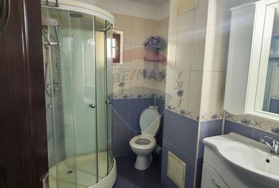 Apartament cu 2 camere decomandat în Brazda lui Novac