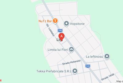 Teren agricol extravilan de 24700 mp, în Lița - 1