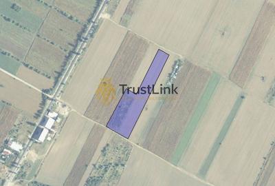 Spațiu comercial, în Vidra - 5