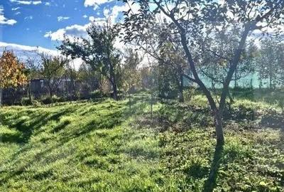 Casa batraneasca cu teren generos, in satul Manastireni lini?te ?i natura Casa batraneasca cu teren generos, in satul Manastireni lini?te ?i natura - 5