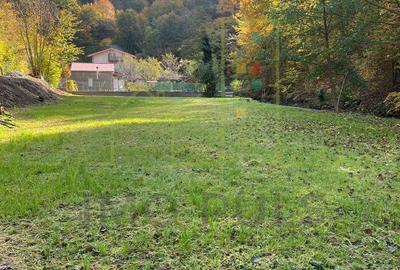 Proprietar. Vand teren. Paraul Runcu este limita de proprietate. Drum asfaltat - 6