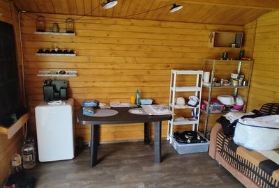 Cascioarele, Ulmi jud. Giurgiu, teren 1.200 mp + casuta de gradina si anexe - 3