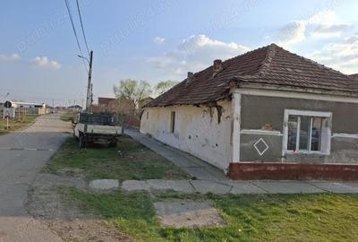 Casă cu Teren 487 Mp în Săcălaz
