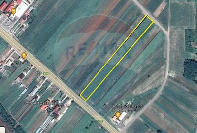 Teren 4 948 mp Bradesti / Racarii de Jos - 2