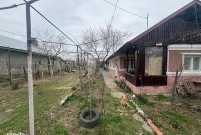 Casă cu 4 camere în Merii Petchii - 6