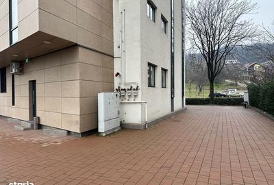 Spațiu comercial, de 851 mp, în Traian - 8