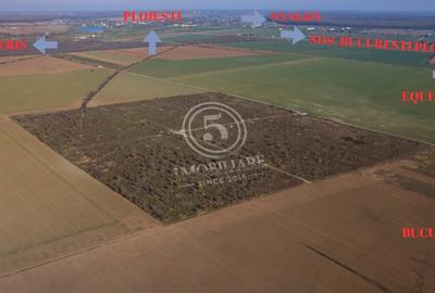 Teren Construcții intravilan de 1118 mp, în Periș - 23