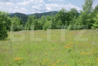 Teren în Scărișoara - 7