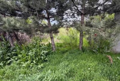 Casă cu 4 camere cu Teren 1400 Mp în Central - 11