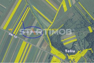 Teren cu front la DN 10 Teliu - 5