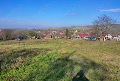 Teren de 2000 mp, în Topolog - 6