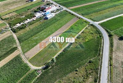 Teren intravilan de vânzare - 4300 mp | Deschidere generoasă | Fărcașa, MM - 2