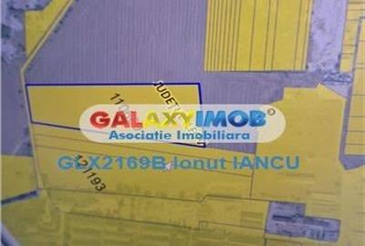 Teren 33500 m.p.PUZ Aprobat Industrial - Servicii - Hale - 2