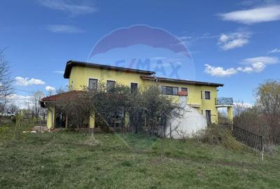 Casa cu teren 4800 mp si multiple posibilitati in Tureni - 3