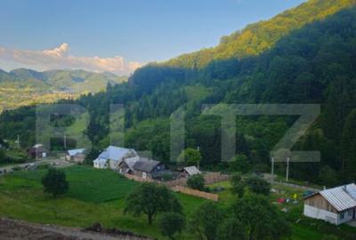 Teren de vanzare, 10.000 mp - Bistrita Bargaului, zona turis - 3