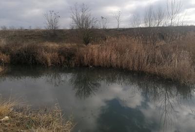 Teren de 22300 mp, în Central - 7