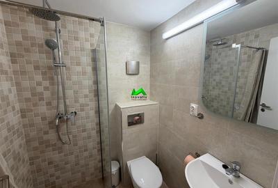 Apartament de inchiriat 2 camere Pet Friendly Sibiu Stefan Cel Mare - 6