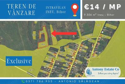 Teren de 9306 mp, în Ineu