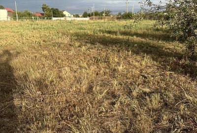 Teren de 10000 mp, în Sârbi - 1