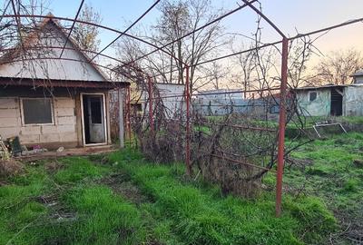 Teren 365mp Vidra-Copaceni cu 2 case, fundatie, fosa, beci, put - 6