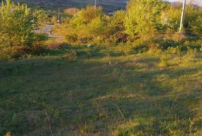 Spațiu comercial, în Cireșu - 1