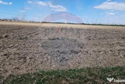 Teren de 5500 mp, în Cernele - 1