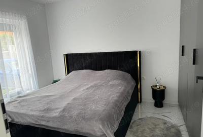 Vand casa Dumbravita - 3