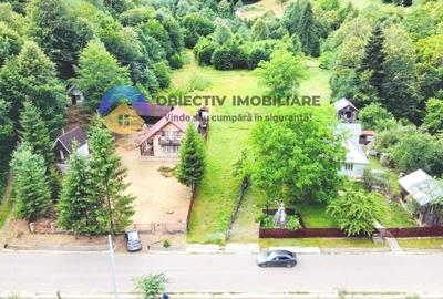 TEREN intravilan   8.000 mp TARCAU - 5