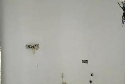 COMISION 0% Duplex 3 camere si teren generos - Cornesti - 3