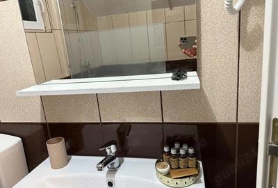 Vila Caciulata inchiriere Craciun 2025 - 12