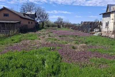 Spațiu comercial, în Domnești - 5