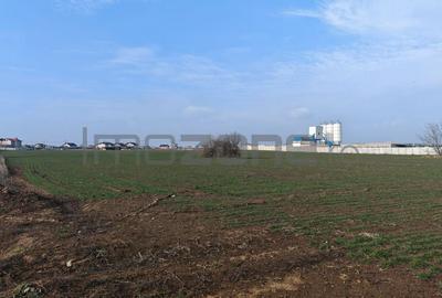 Dragomiresti Valea - Langa Centura, teren 15.600 mp, 35E/mp - 4