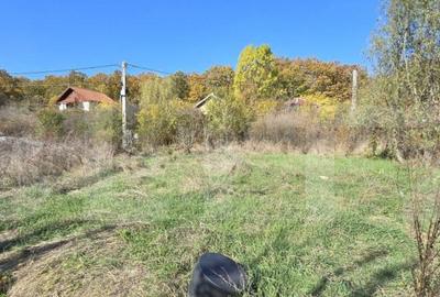 Oportunitate! Teren intravilan 1200 mp, Satul de Vacanta Pod - 3