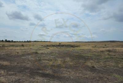 Comision 0% - Teren 10.000 mp - Str. Octavian Goga, Craiovei - 4