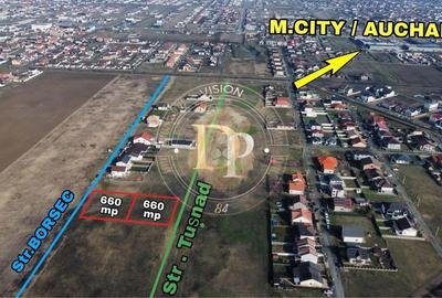 Spațiu comercial, în Moșnița Nouă - 2